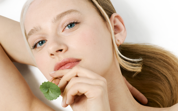 La Centella come fondamento della Korean Skin Therapy
