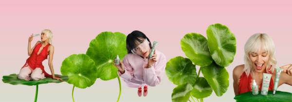 Centella Asiatica: il pilastro della nostra Korean Skin Therapy