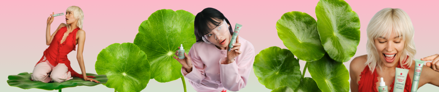 Centella Asiatica: il pilastro della nostra Korean Skin Therapy